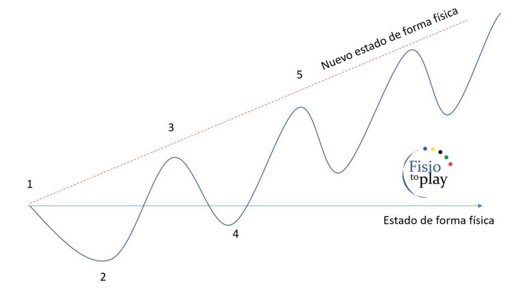 Gráfico supercompensación